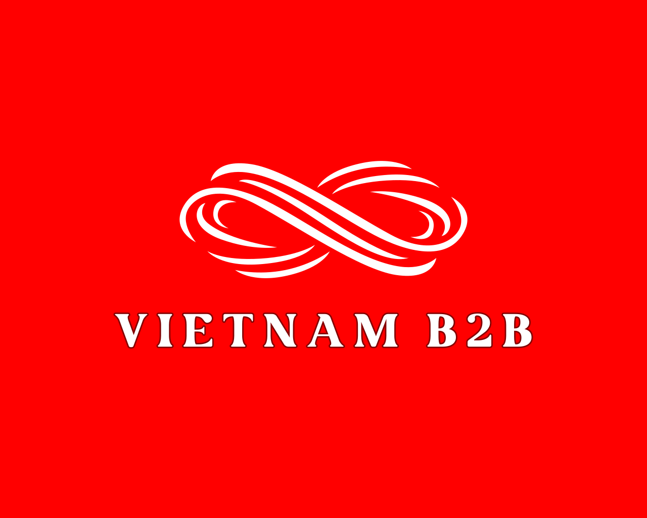 Vietnam B2B